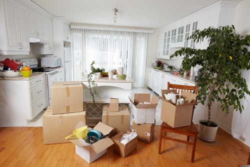 Professional movers assisting with Lewisham removals