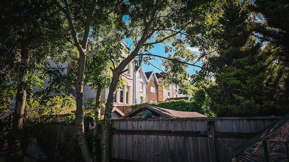 A residential property with multiple multi-storey houses visible behind a wooden fence and lush green trees, taken during daytime with clear blue sky and sunlight filtering through the leaves. In the